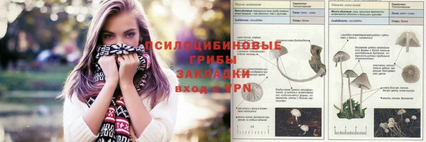 амф Белокуриха