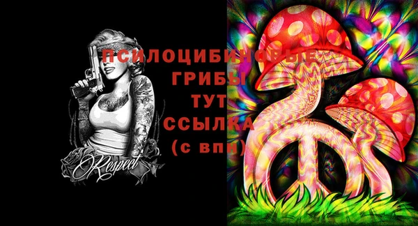 дурь Беломорск