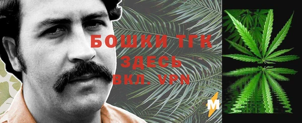 ПСИЛОЦИБИНОВЫЕ ГРИБЫ Балахна