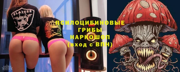 амф Белокуриха