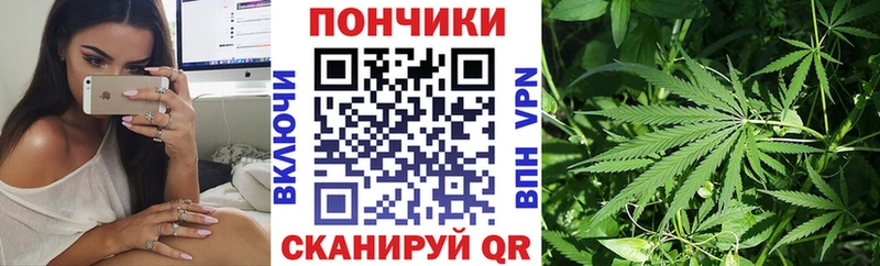 наркотики  Кореновск  Бошки марихуана тримм 